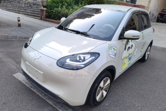 五菱汽车 五菱缤果 2023款 203km 轻享款