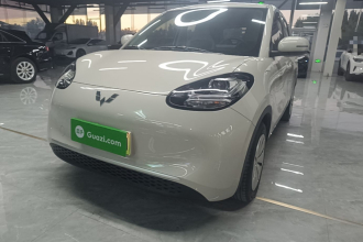 五菱汽车 五菱缤果 2024款 203km 轻享款