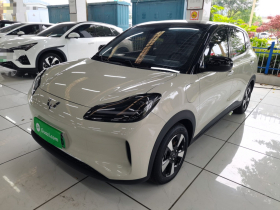 五菱汽车 五菱缤果PLUS 2024款 401km 五座版