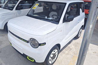吉利银河 2025款 熊猫mini 210km 元气熊