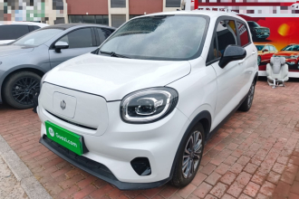零跑汽车 零跑T03 2021款 400轻享版 磷酸铁锂