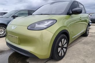 五菱汽车 五菱缤果 2023款 333km 灵犀互联款