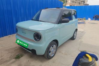 吉利银河 2023款 熊猫mini 200km 耐力熊