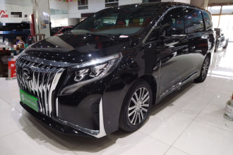 广汽传祺 传祺M8 2023款 领秀系列 390T 尊贵版
