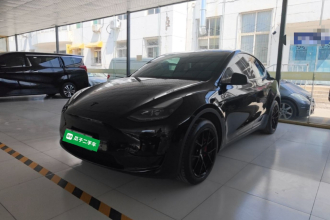 特斯拉 Model Y 2023款 后轮驱动版
