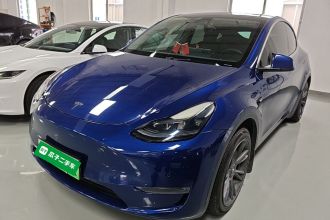 特斯拉 Model Y 2021款 标准续航后驱版