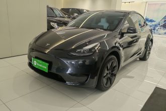特斯拉 Model Y 2024款 后轮驱动版