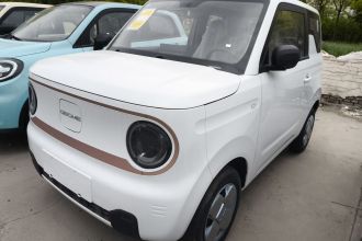 吉利银河 2024款 熊猫mini 200km 耐力熊