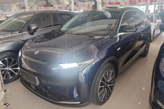 零跑汽车 零跑C11 2021款 豪华版