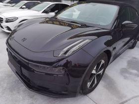 极氪001 2023款 WE版 100kWh