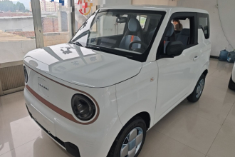 吉利银河 2024款 熊猫mini 200km 耐力熊