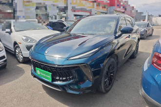 东风风行 风行T5 EVO 2021款 1.5TD DCT钻石版