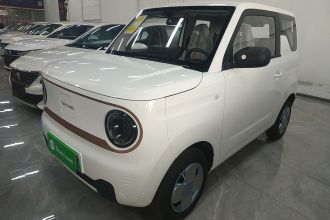 吉利银河 2024款 熊猫mini 200km 耐力熊