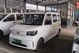 五菱汽车 五菱之光新能源 2025款 305km 进取型