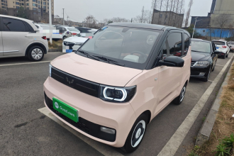 五菱汽车 宏光MINIEV 2022款 马卡龙绘色款 磷酸铁锂