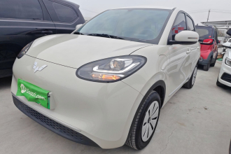 五菱汽车 五菱缤果 2024款 203km 轻享款