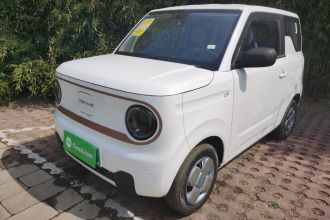 吉利银河 2024款 熊猫mini 200km 耐力熊