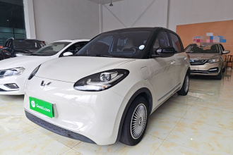 五菱汽车 五菱缤果 2023款 333km 灵犀互联+款