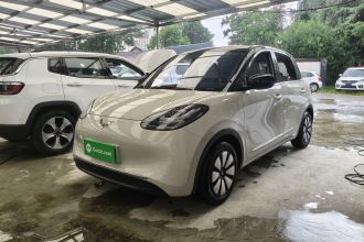 五菱汽车 五菱缤果 2024款 333km 灵犀互联款