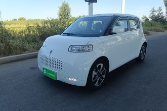欧拉白猫 2020款 305km 豪华型
