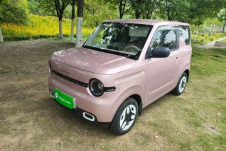 吉利银河 2025款 熊猫mini 210km 元气熊