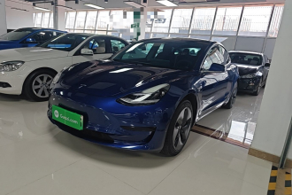 特斯拉 Model 3 2019款 标准续航后驱升级版