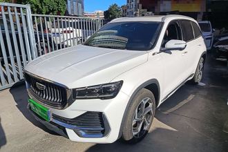 吉利汽车 星越L 2021款 2.0TD DCT EVO两驱尊贵型