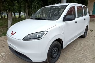 五菱汽车 五菱宏光新能源 2024款 纯电版 300KM 标准型