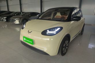 五菱汽车 五菱缤果 2025款 410km 灵犀尊享款