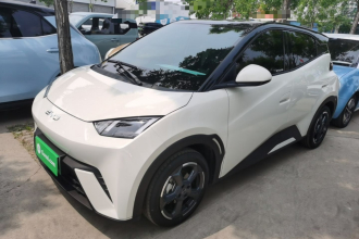 比亚迪 海鸥 2024款 荣耀版 305km 自由版