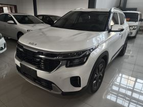 起亚 赛图斯 2023款 1.5L CVT豪华版