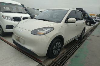 五菱汽车 五菱缤果 2023款 333km 悦享+款