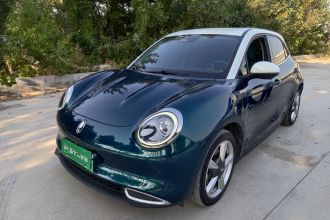 欧拉好猫 2021款 400km标准续航 维纳斯版 磷酸铁锂