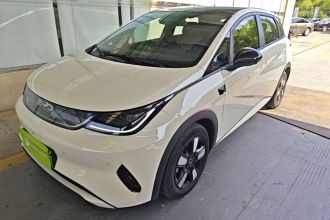 比亚迪 海豚 2025款 智驾版 410km 时尚版