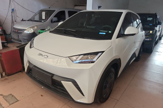 比亚迪 海鸥 2025款 305km 活力版