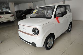 吉利银河 2024款 熊猫mini 200km 耐力熊