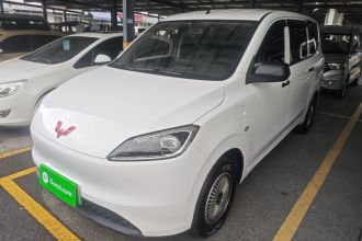 五菱汽车 五菱宏光新能源 2024款 纯电版 300KM 实用型