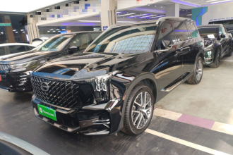 广汽传祺 传祺GS8 2024款 领航系列 2.0TGDI 两驱豪华智联版