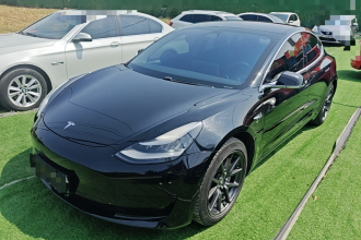 特斯拉 Model 3 2020款 标准续航后驱升级版