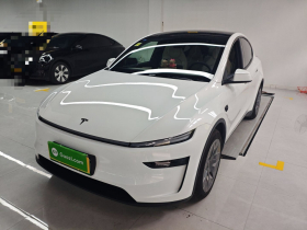 特斯拉 Model Y L 2025款 长续航全轮驱动版