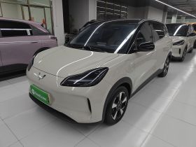 五菱汽车 五菱缤果PLUS 2024款 401km 五座版