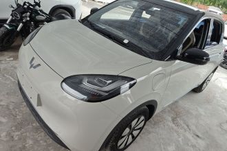 五菱汽车 五菱缤果 2023款 333km 灵犀互联+款
