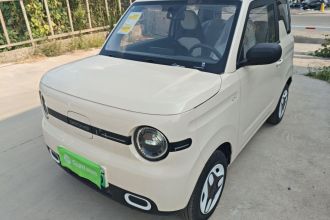 吉利银河 2025款 熊猫mini 210km 元气熊