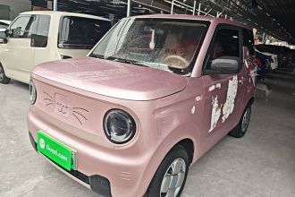吉利银河 2023款 熊猫mini 200km 耐力熊
