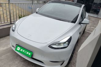 特斯拉 Model Y 2022款 Performance高性能全轮驱动版