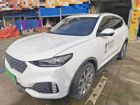 魏牌 VV6 2020款 2.0T 两驱智护+