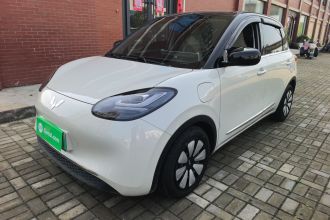 五菱汽车 五菱缤果 2025款 333km 悦享款