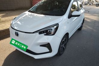 长安 奔奔E-Star 2022款 清心版 多彩款 磷酸铁锂