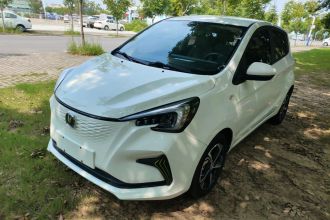 长安 奔奔E-Star 2020款 心动版 磷酸铁锂（31.18kWh）