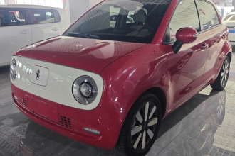 欧拉黑猫 2019款 351km 女神版